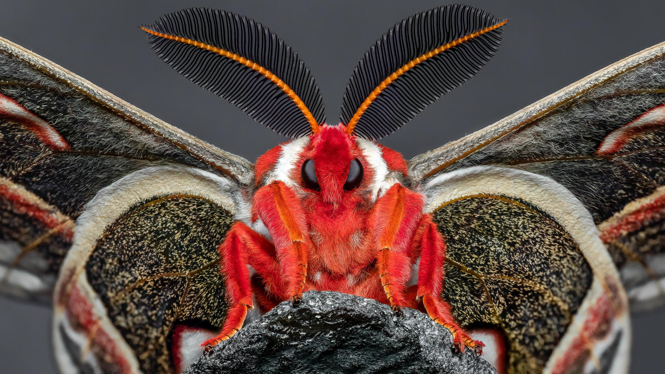 óoclose